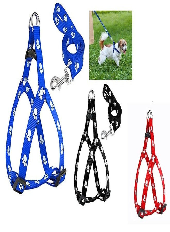 KittuPet 15 mm pow print harness and leash for dogs -color may very available (pack of 1) - Image 1